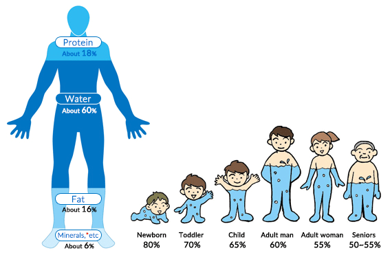 Body water AND electrolytes - what is ideal hydration?